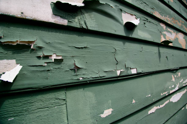 Best Siding for New Construction  in Turlock, CA