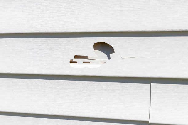 Best Composite Siding  in Turlock, CA