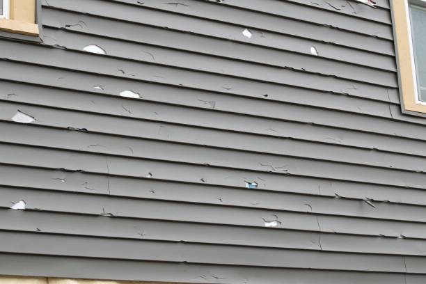 Best Historical Building Siding Restoration  in Turlock, CA